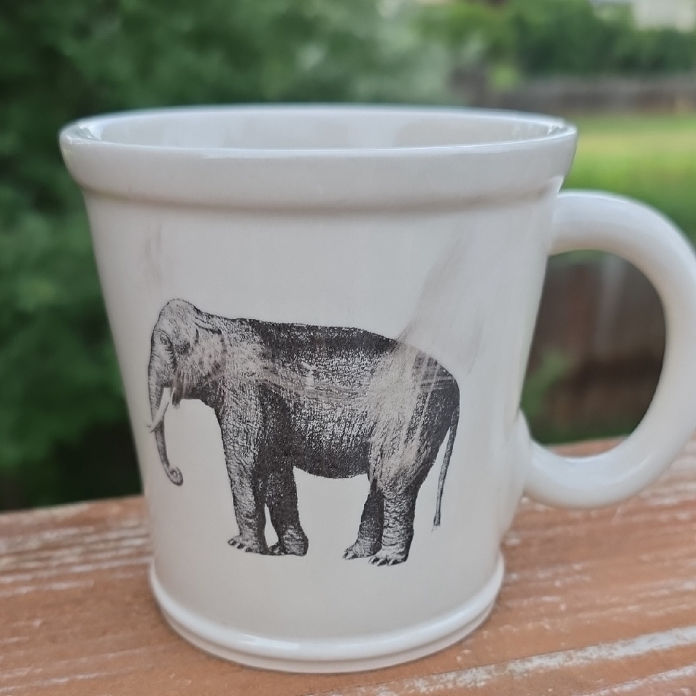 Cost Plus World Market White Ceramic Mug